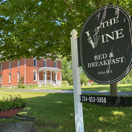 The Vine Bed & Breakfast, Llc Dundee Zewnętrze zdjęcie