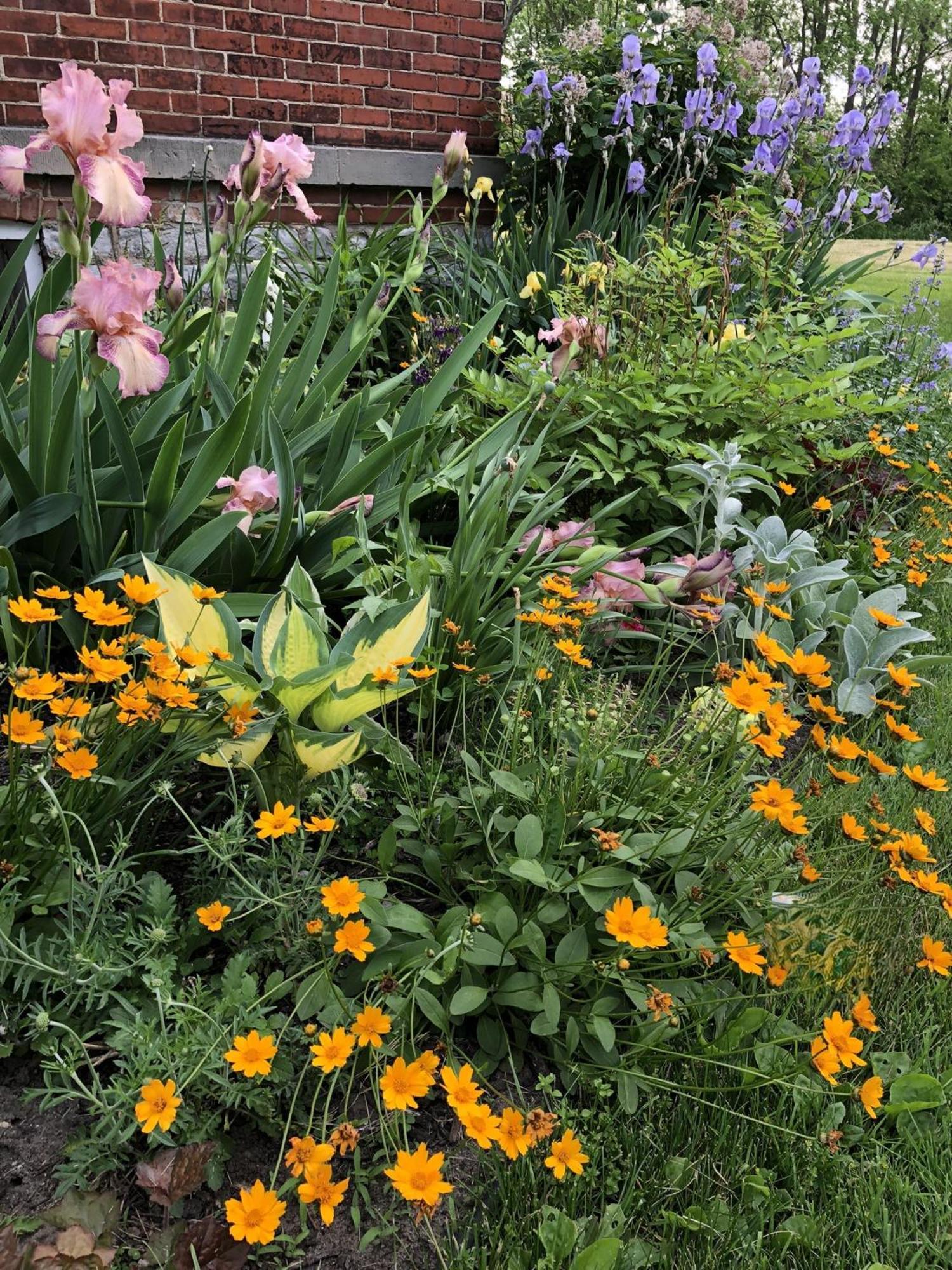 The Vine Bed & Breakfast, Llc Dundee Zewnętrze zdjęcie