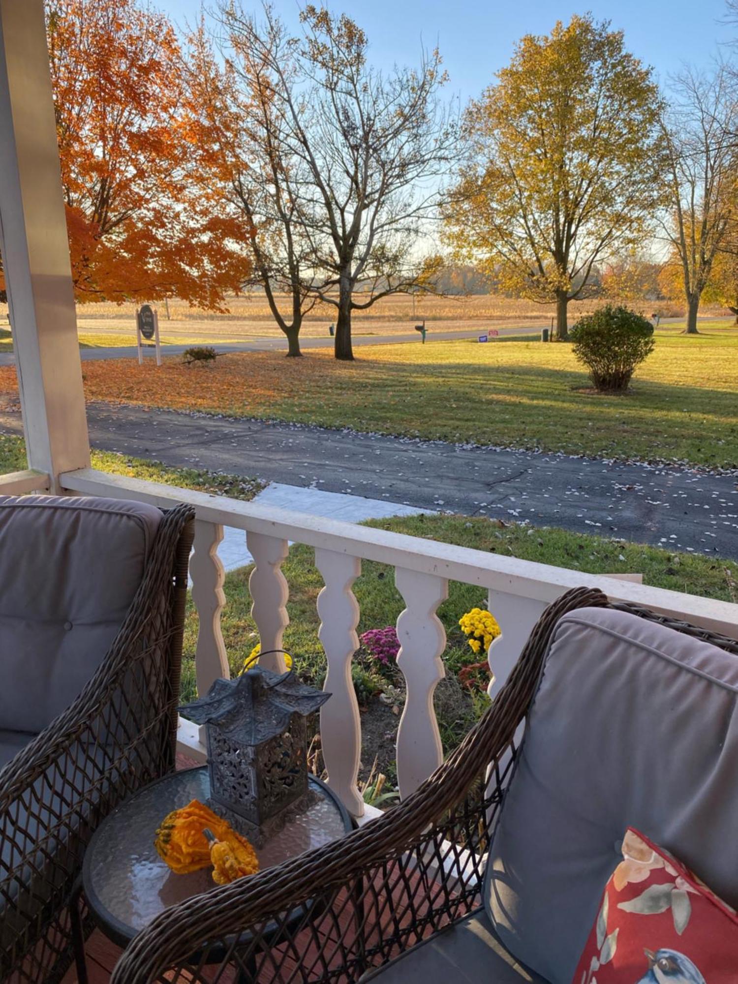 The Vine Bed & Breakfast, Llc Dundee Zewnętrze zdjęcie