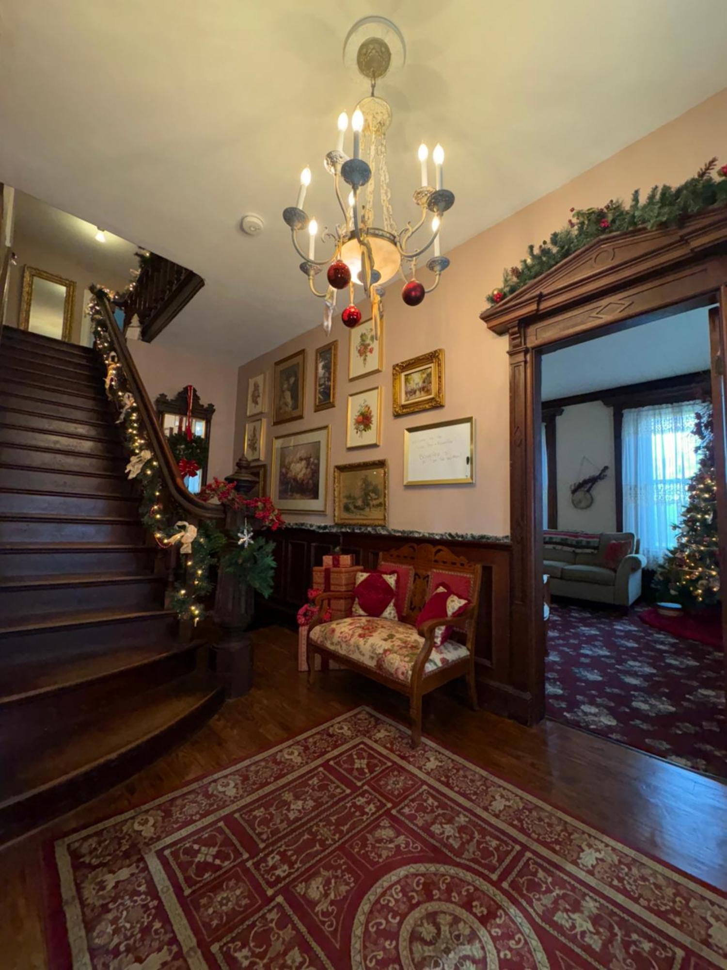 The Vine Bed & Breakfast, Llc Dundee Zewnętrze zdjęcie