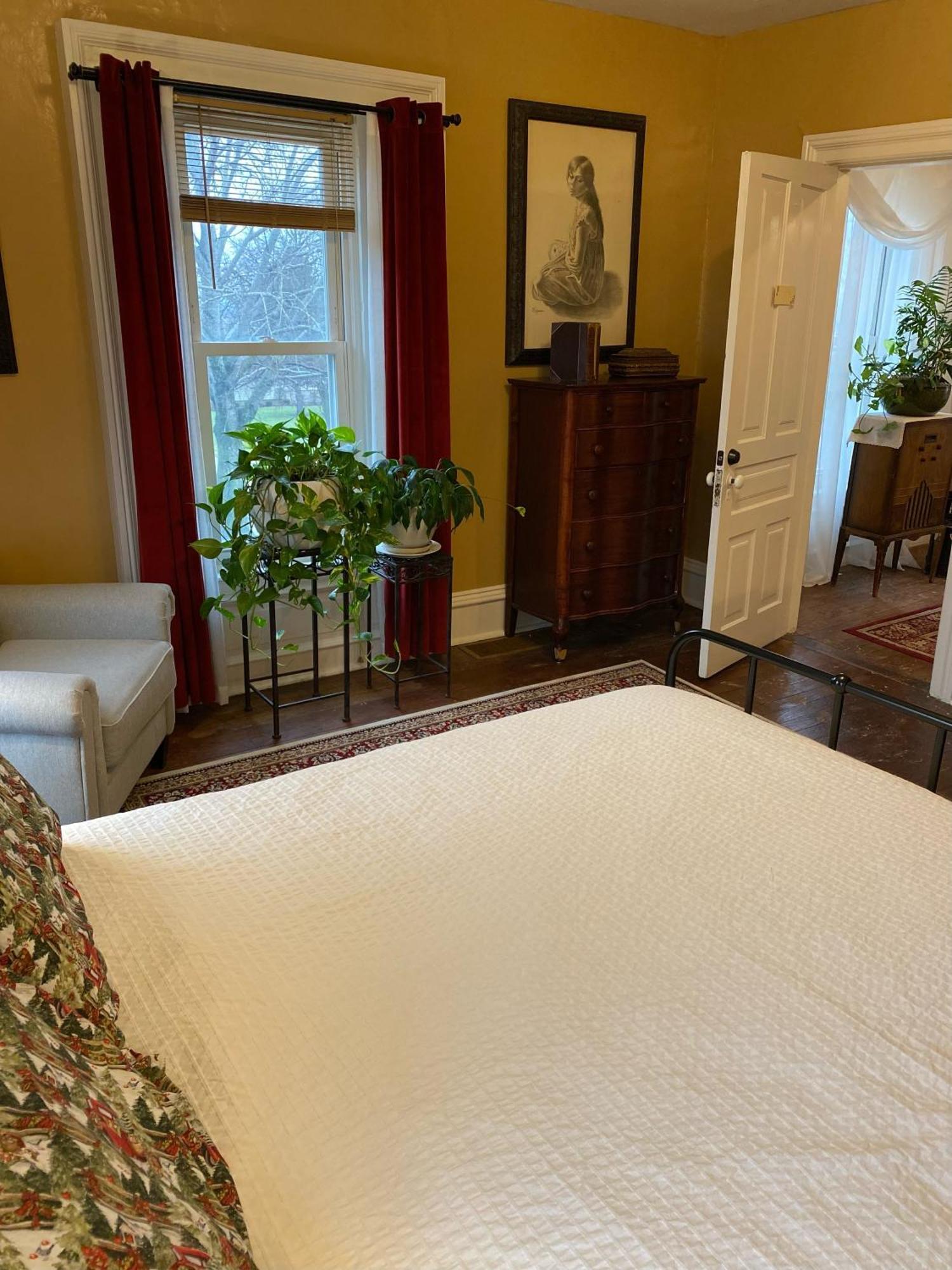 The Vine Bed & Breakfast, Llc Dundee Zewnętrze zdjęcie